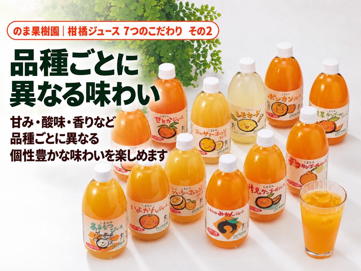 6種類のみかんジュース「新しまなみ太陽だより6本入」 | のま果樹園