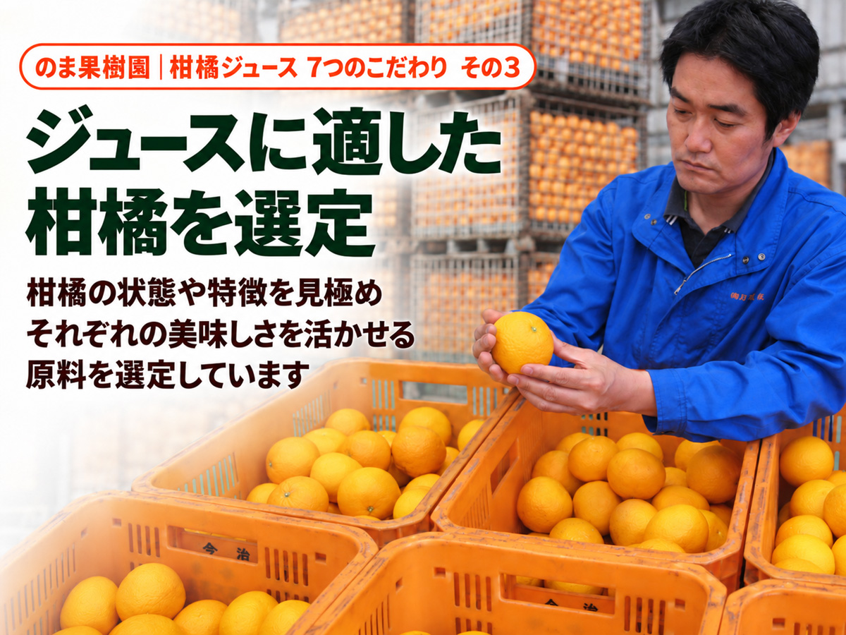 しまなみせとかジュース6本入 | のま果樹園