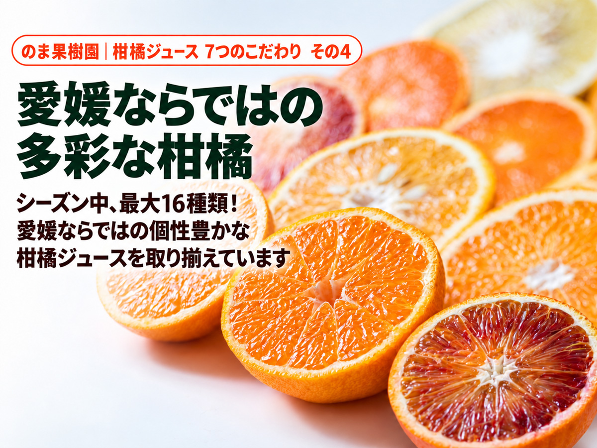 しまなみみかんジュース(12本入）×6箱 まとめ買い | のま果樹園