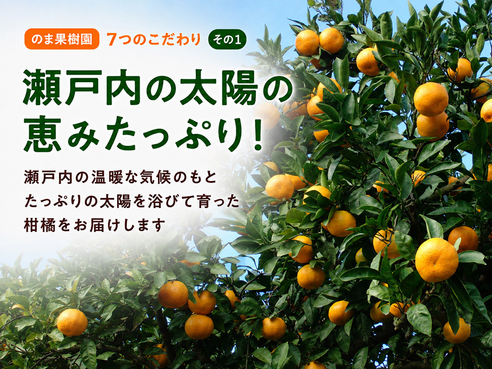 カラマンダリン約3kg家庭用 | のま果樹園