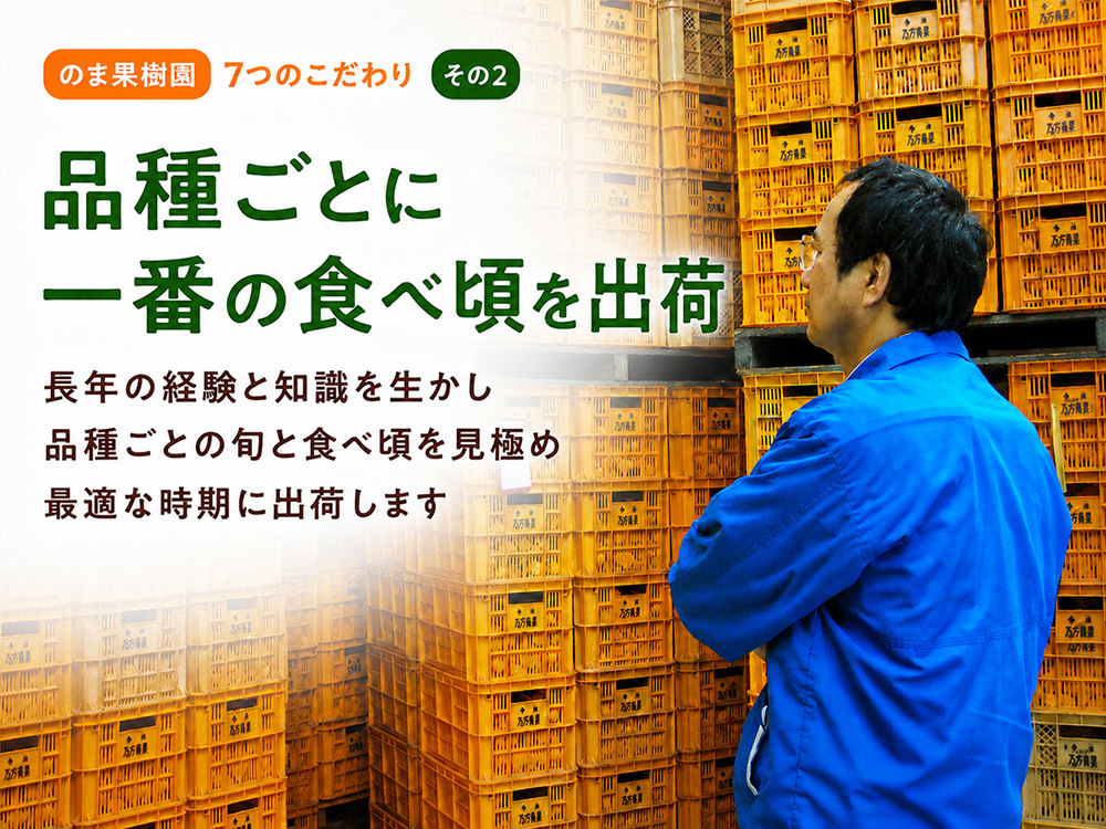 はるか約3kg-家庭用 | のま果樹園