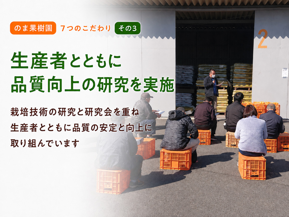 媛まどんな約5kg-家庭用 | のま果樹園