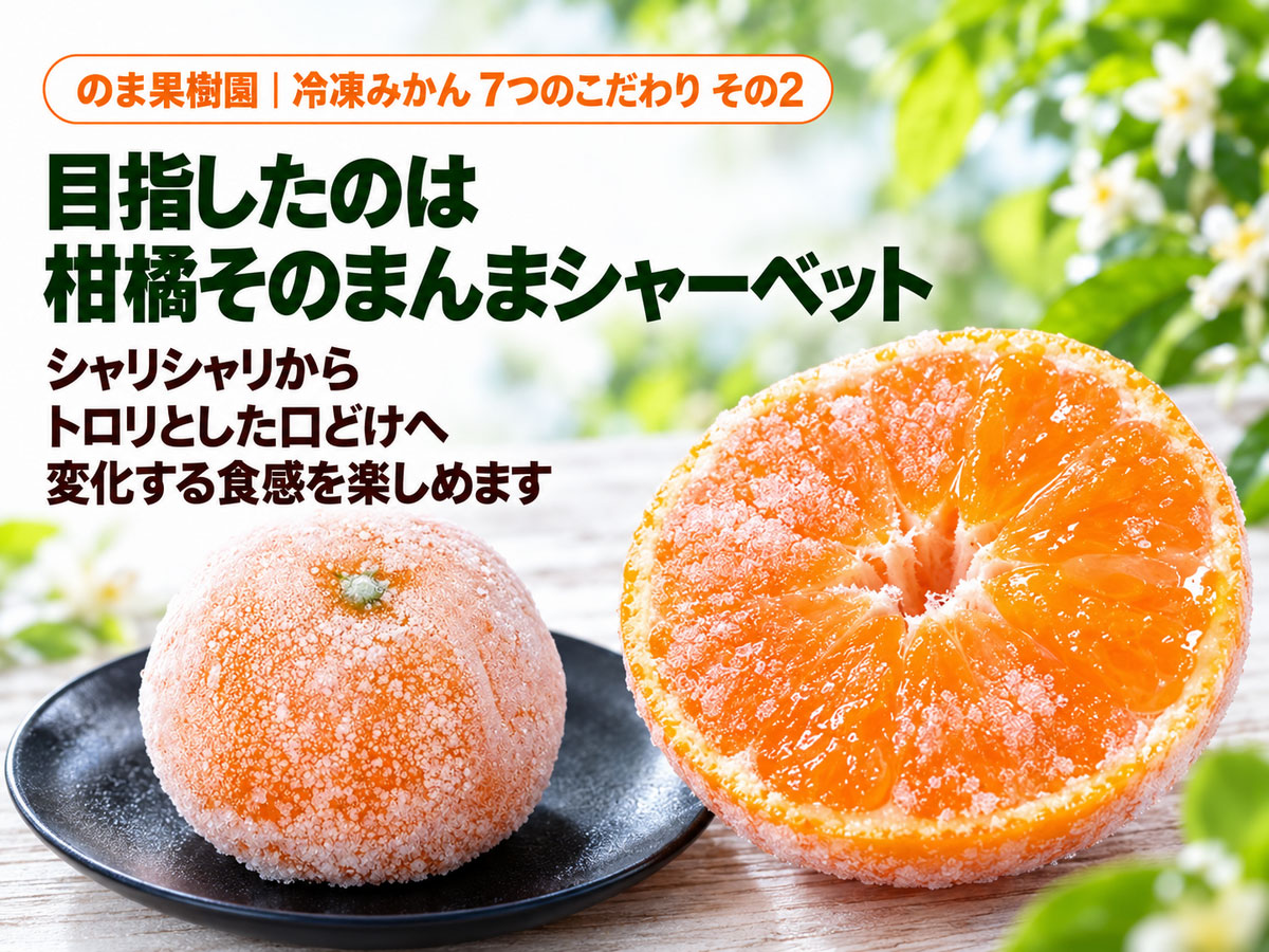みかん まとめ売り 旬柑氷結・ぷち冷凍みかん1.5kg（23～40個） | のま果樹園