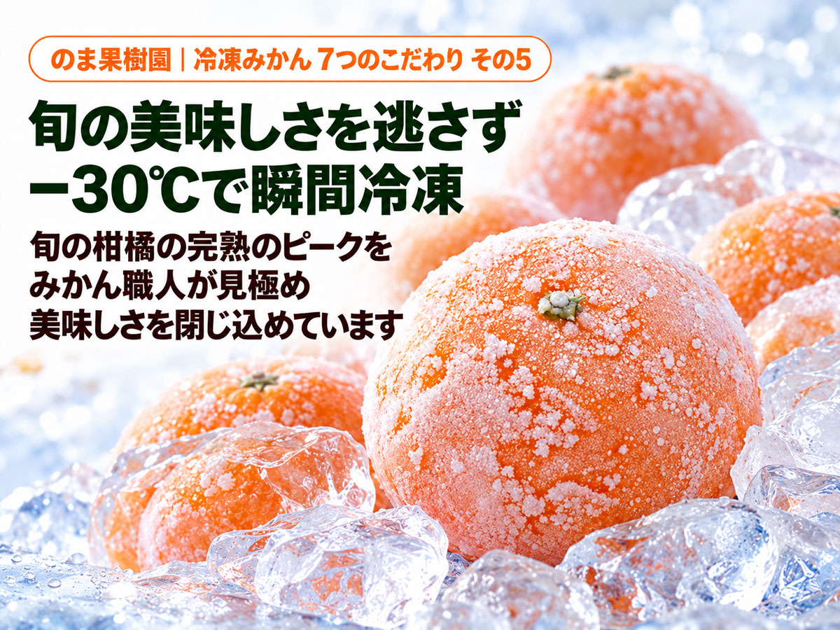 旬柑氷結・ぷち冷凍みかん1.5kg（23～40個） | のま果樹園