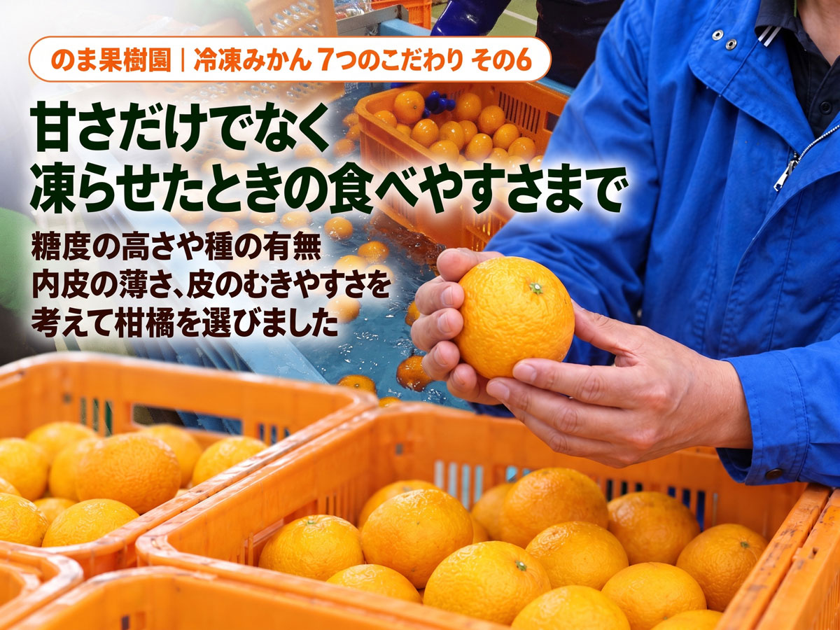 旬柑氷結・ぷち冷凍みかん3kg（48～77個） | のま果樹園