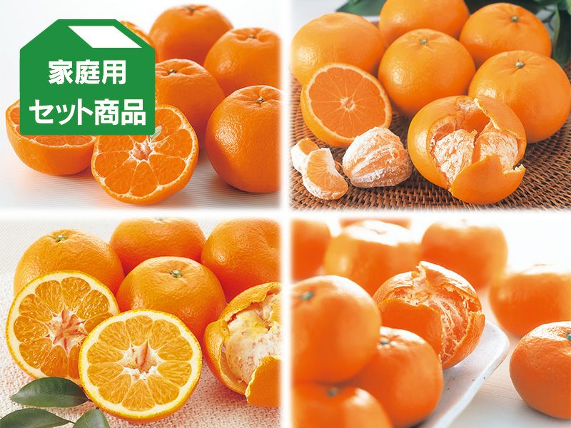 1月の柑橘4種味比べ「プチ」セット | のま果樹園