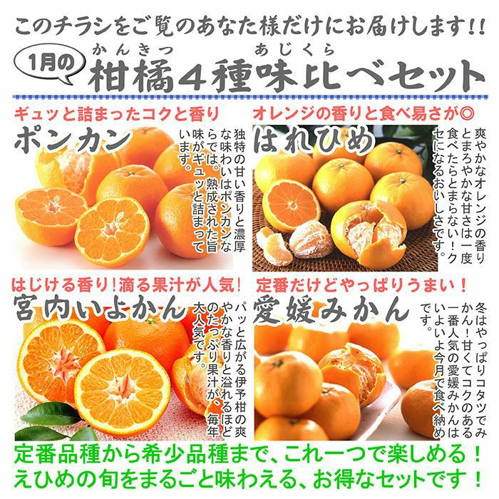 1月の柑橘4種味比べ「プチ」セット | のま果樹園