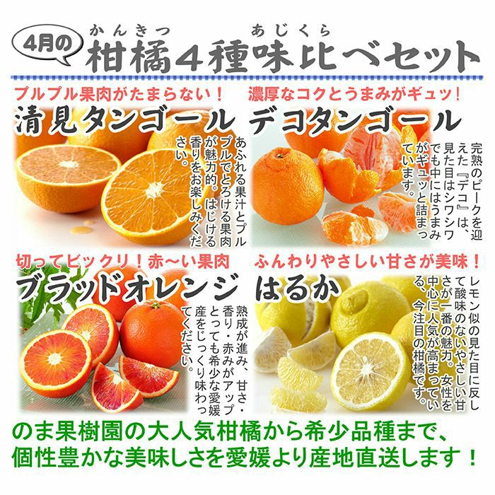 柑橘４点セット 柑橘よくばりAセット | のま果樹園