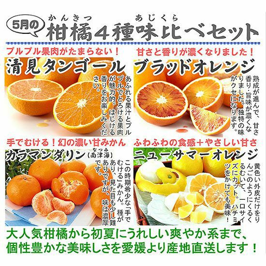 5月の柑橘4種味比べ「ぷち」セット | のま果樹園