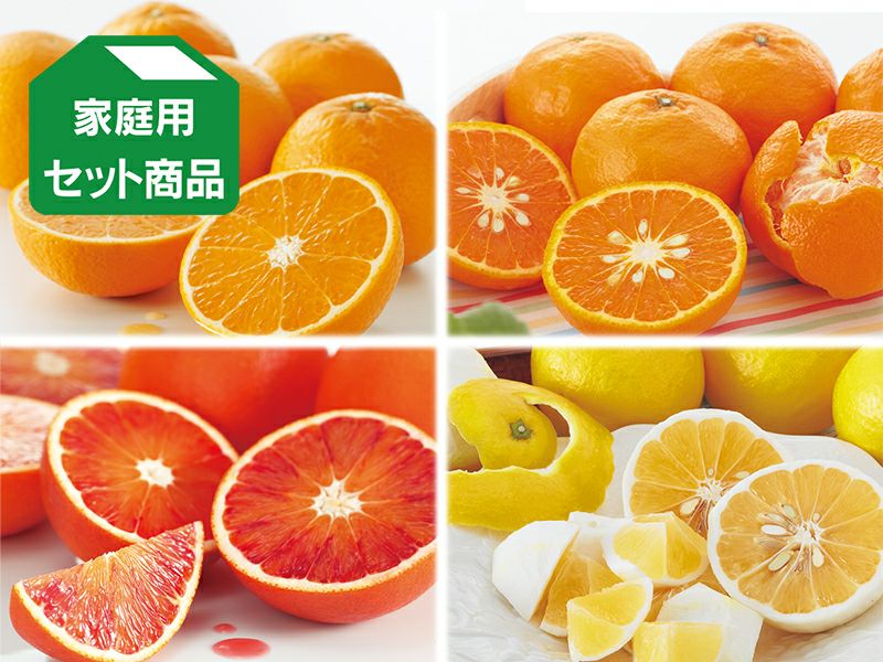 清見　L玉　箱込20Kg　愛媛県松山市産 清見タンゴール M玉 箱込5kg 愛媛県松山市産｜Yahoo!フリマ（旧PayPay