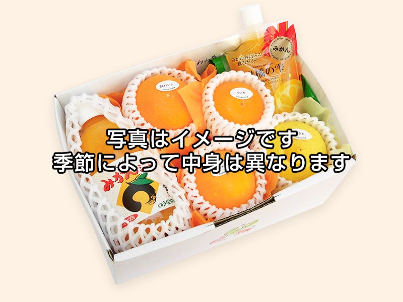 柑橘よくばりAセット | のま果樹園