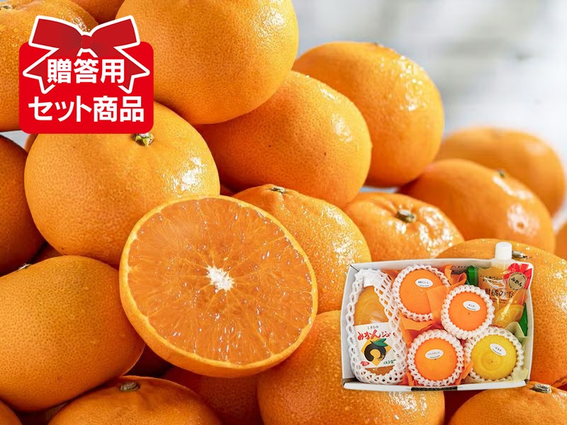 二十世紀梨 | のま果樹園