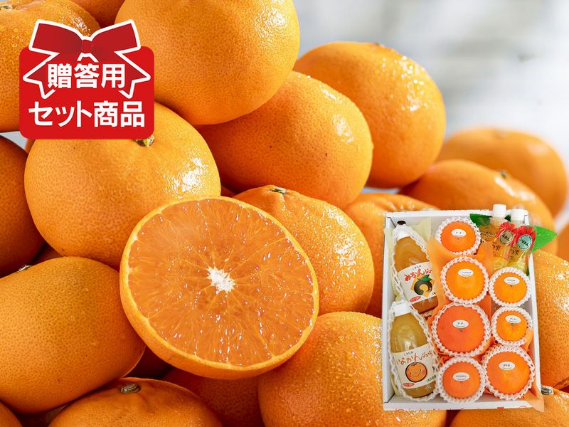 媛まどんな＆はれひめセット約2kg(各1kg)家庭用 | のま果樹園