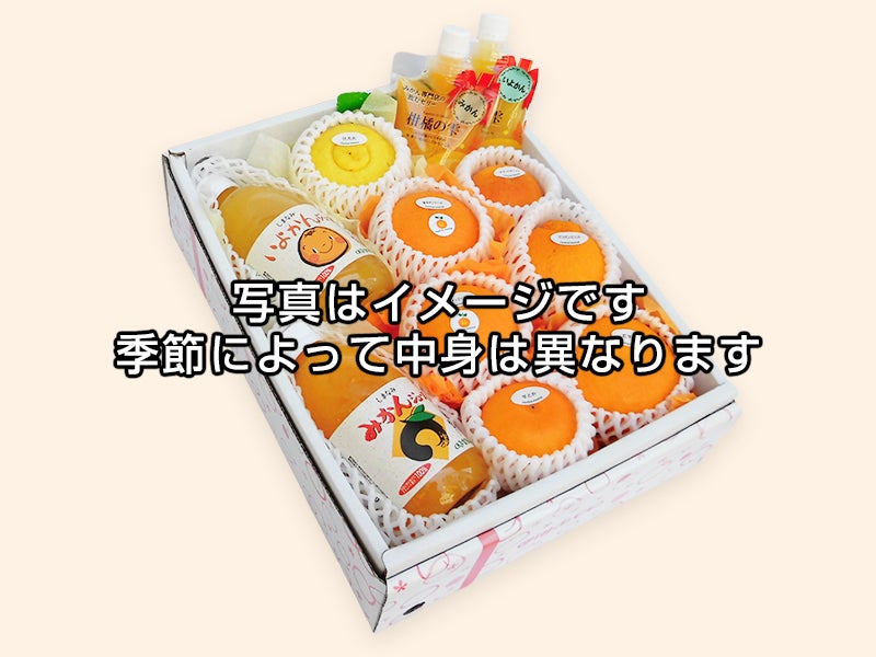 柑橘よくばりCセット | のま果樹園