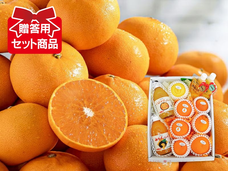 柑橘詰め合わせ② 碧(あおい)セット | のま果樹園