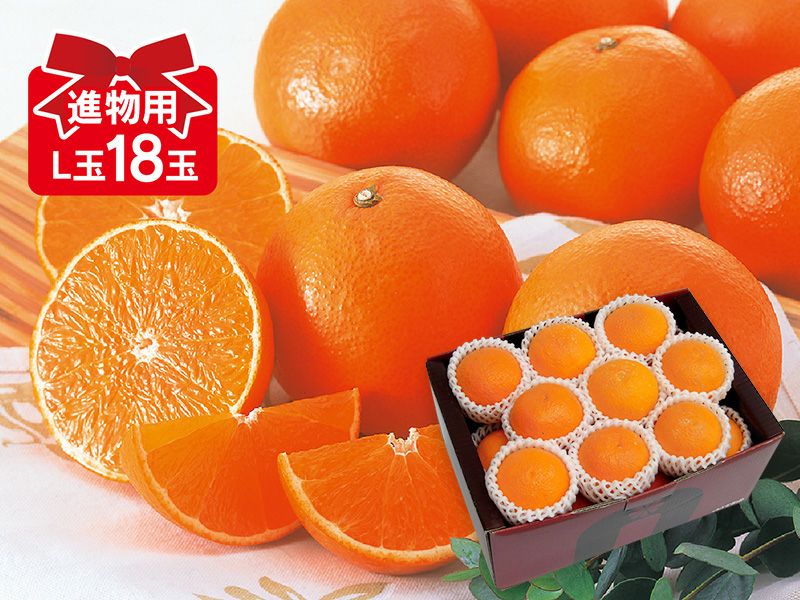 媛まどんな約5kg-家庭用 | のま果樹園