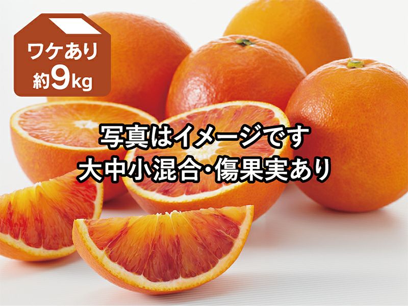 愛媛県産 ブラッドオレンジ 訳あり　箱込み約１０キロ 訳あり愛媛県産ブラッドオレンジ 10kg 柑橘 - メルカリ