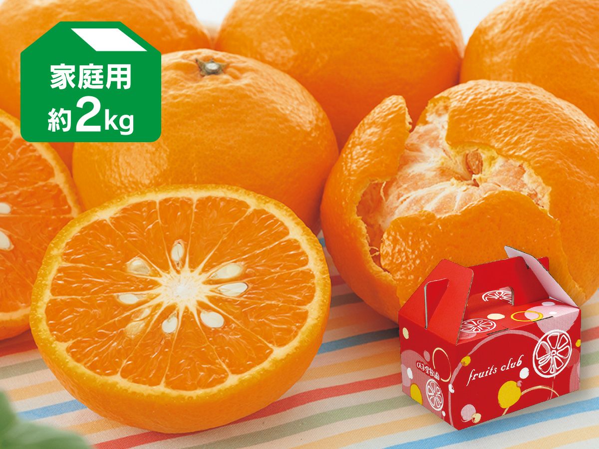 媛まどんな Bセット（8～12個前後）-贈答用 | のま果樹園
