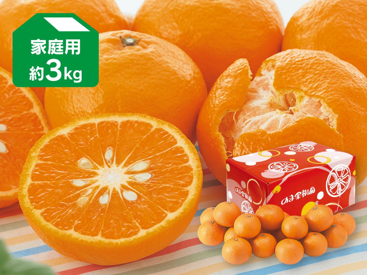 媛小春（ひめこはる） 約2kg | のま果樹園