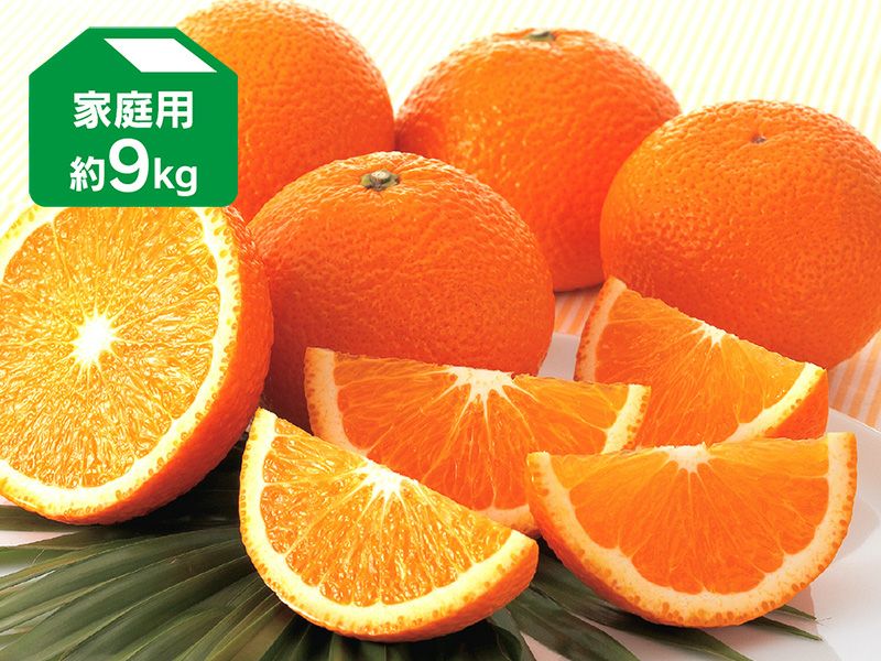 スイートスプリング約9kg | のま果樹園