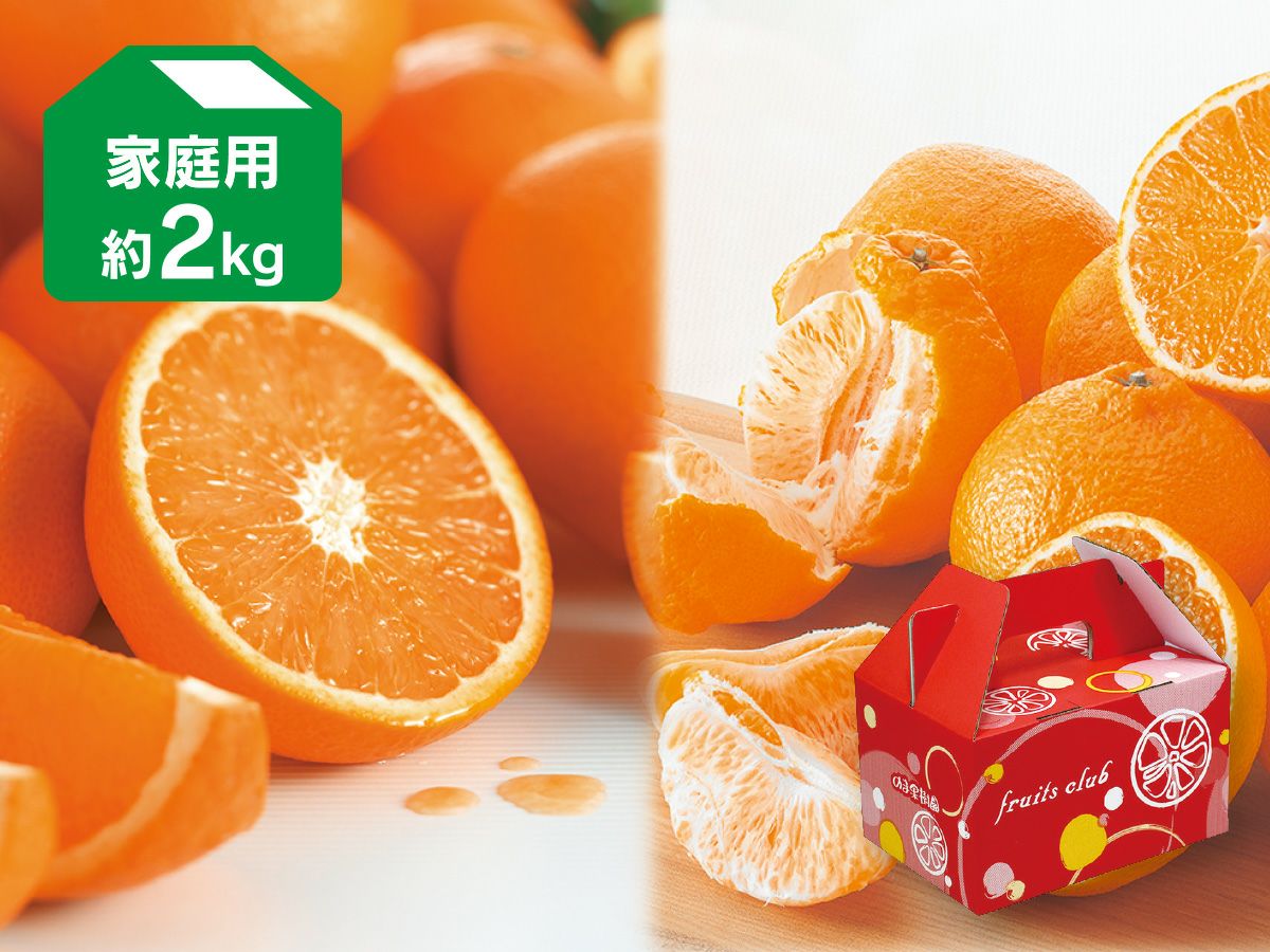 デコタンゴール＆清見タンゴール-家庭用 約2kg(各1kg) | のま果樹園