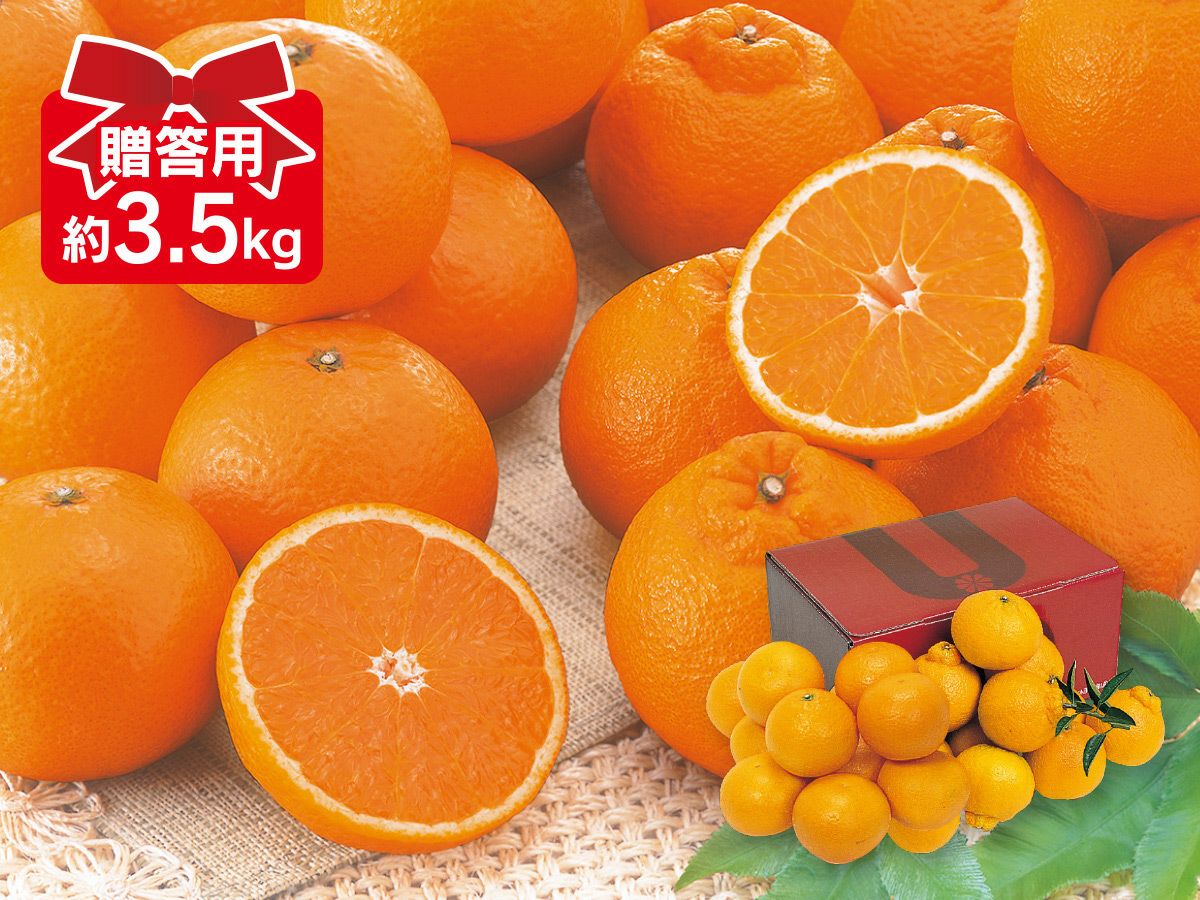 甘平 約2kg-家庭用 | のま果樹園