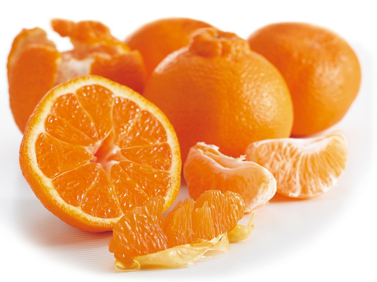 000000000252-01.jpg?size=l&w=