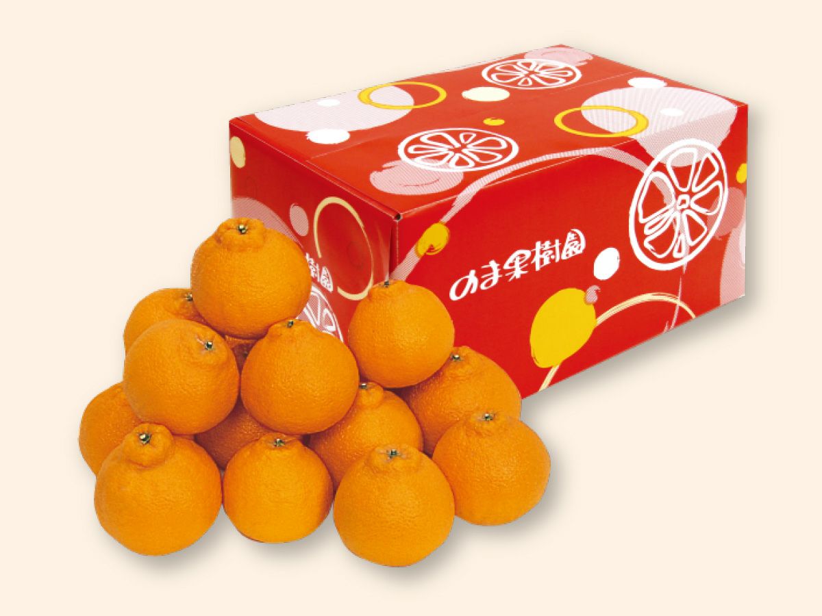 デコタンゴール約3kg-家庭用 | のま果樹園