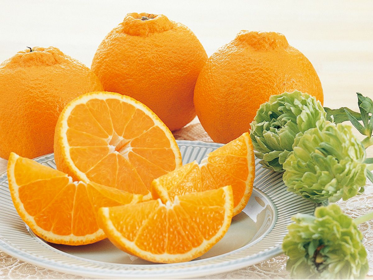 デコタンゴール約5kg-贈答用 | のま果樹園