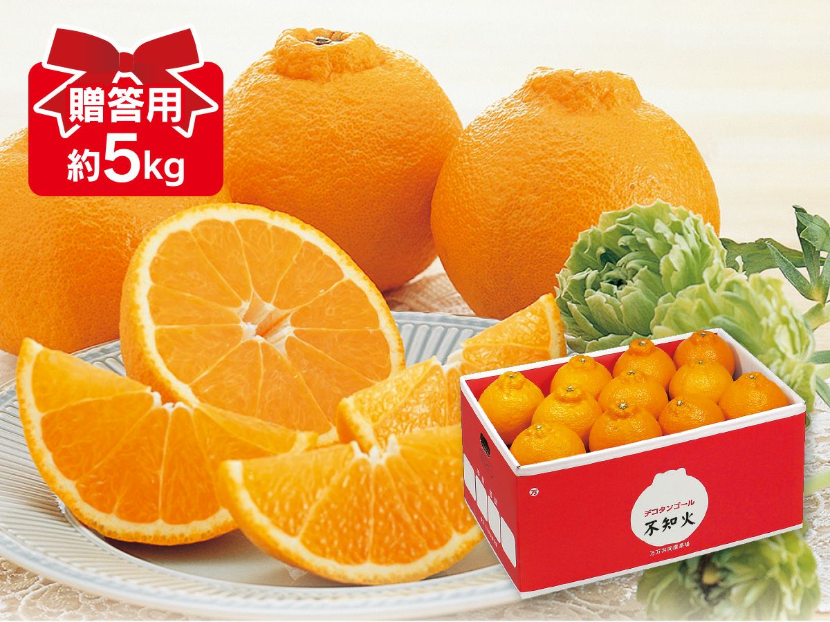 贈答用 | のま果樹園