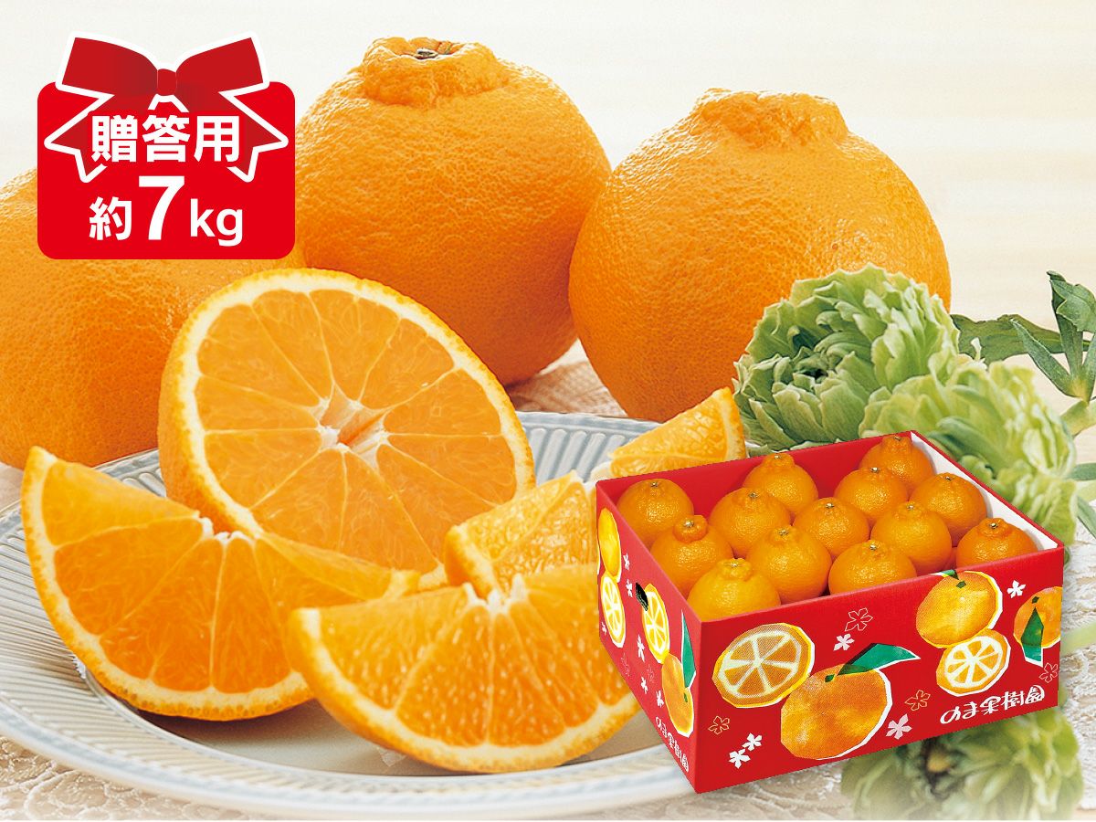 デコタンゴール約5kg-贈答用 | のま果樹園