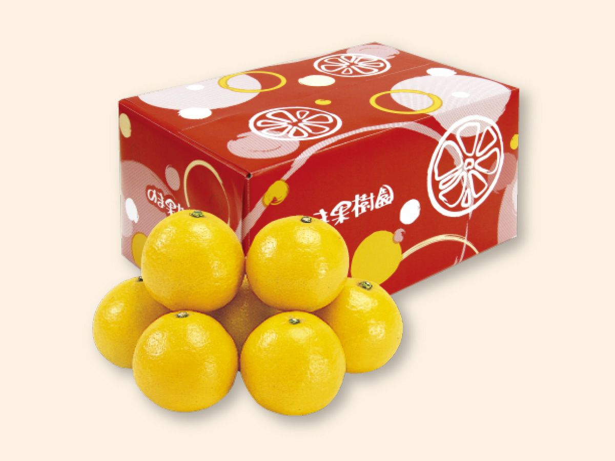 ニューサマーオレンジ約3kg-家庭用 | のま果樹園