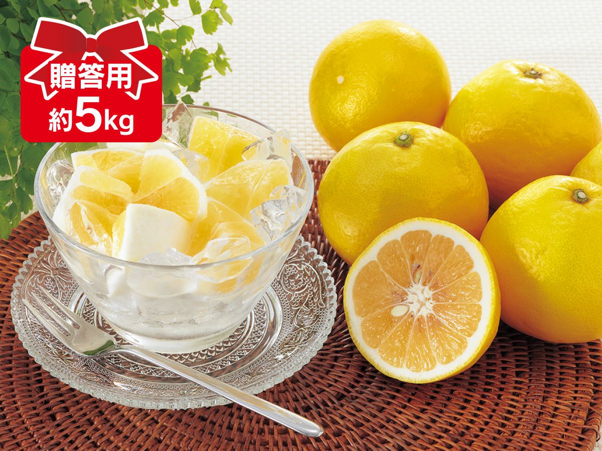 オレリー 豪華12点セット⚠️今月末まで⚠️ ニューサマーオレンジ約5kg-贈答用 | のま果樹園