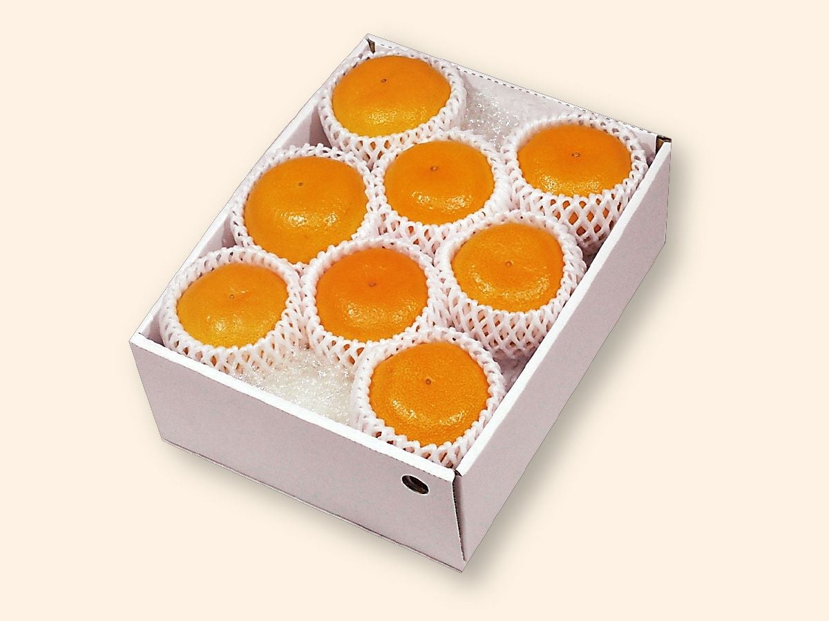 ハウスせとか約1.8kg-贈答用 | のま果樹園