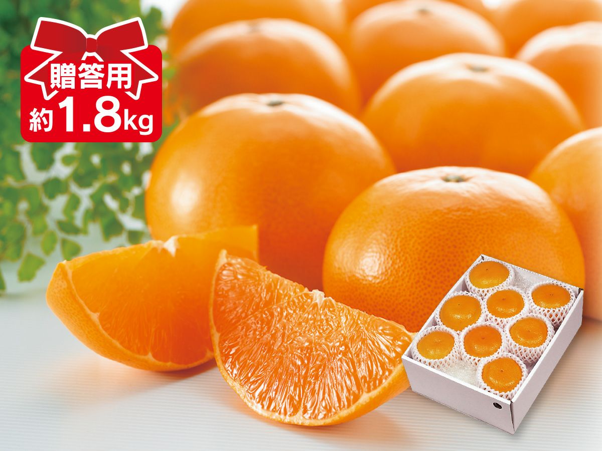 ハウスせとか約1.8kg-贈答用 | のま果樹園