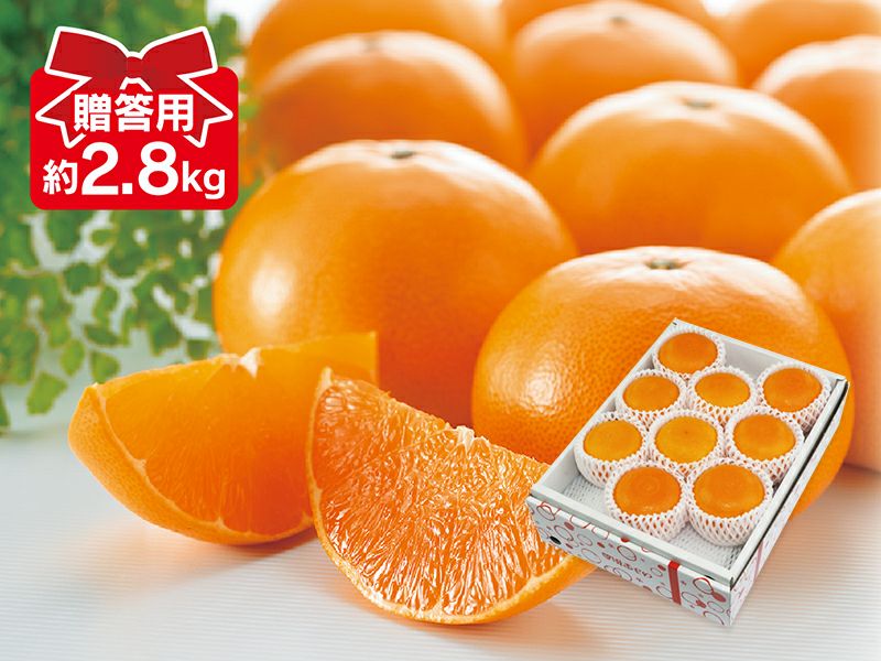 ハウスせとか(贈答用） | のま果樹園