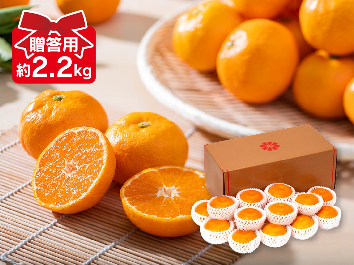 媛まどんな Bセット（8～12個前後）-贈答用 | のま果樹園