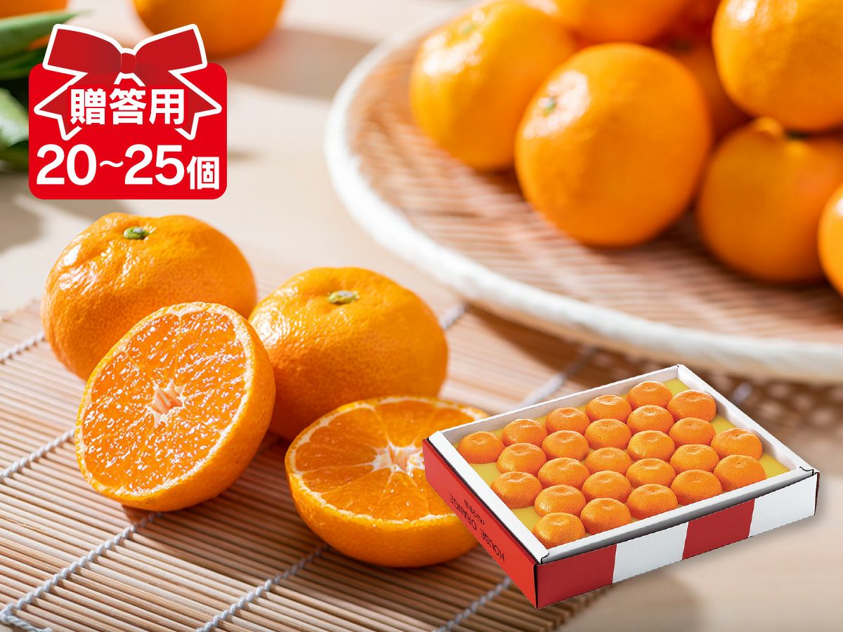 ニューサマーオレンジ約4kg-家庭用 | のま果樹園