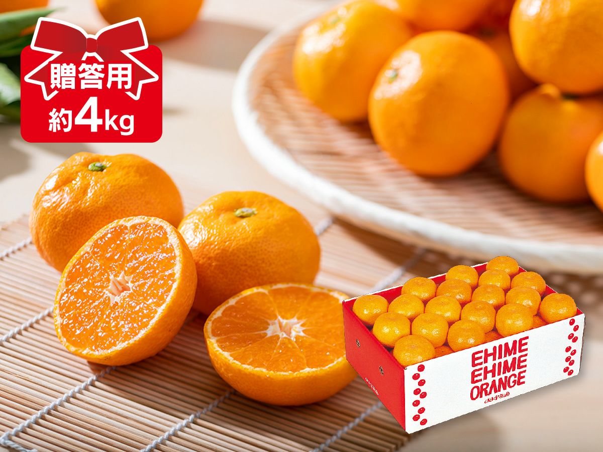 ハウスみかん4kg-贈答用 | のま果樹園