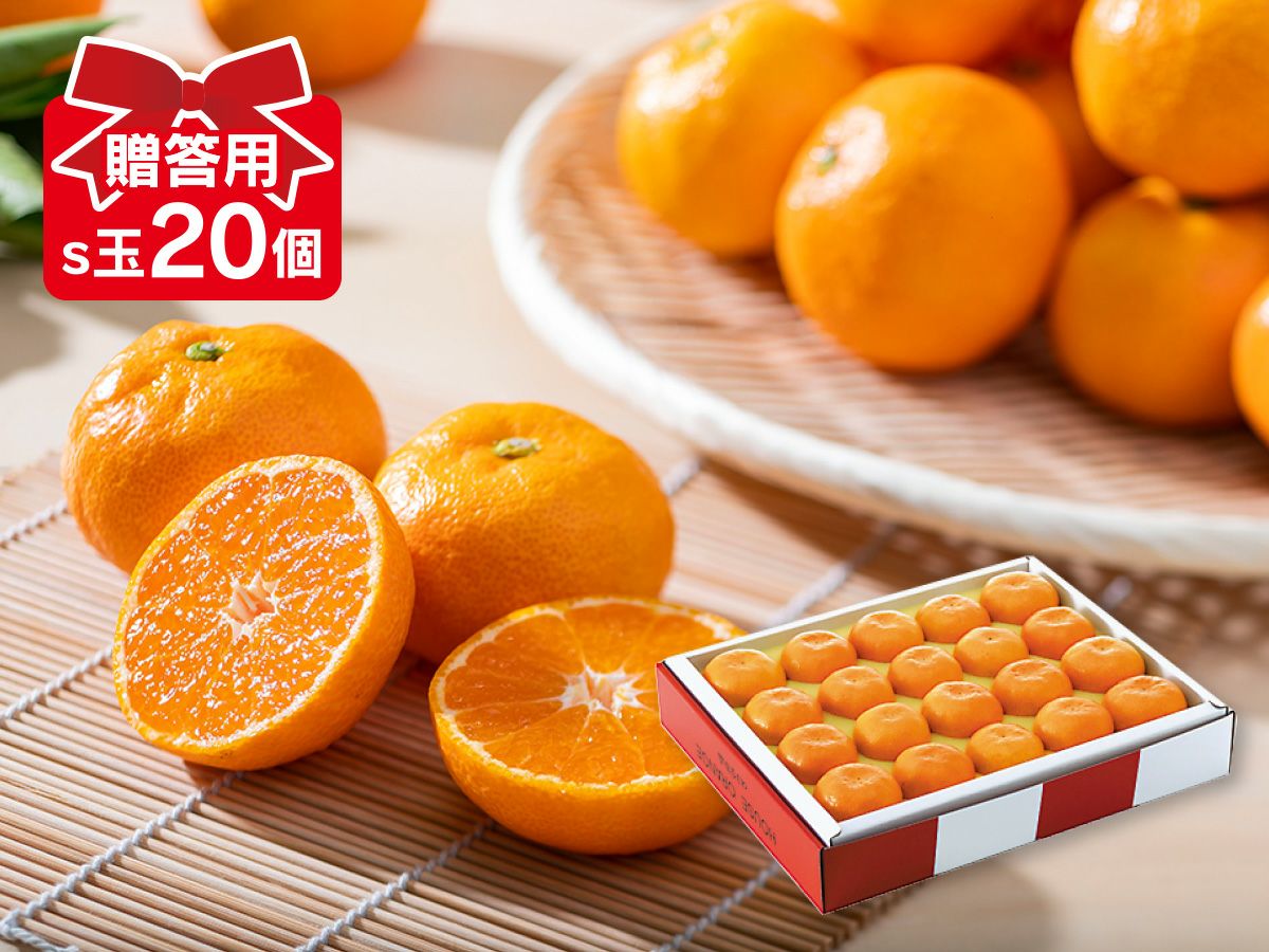 ハウスみかん(S玉20個)-贈答用 | のま果樹園