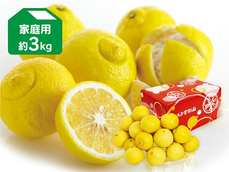 はるか約5kg-家庭用 | のま果樹園