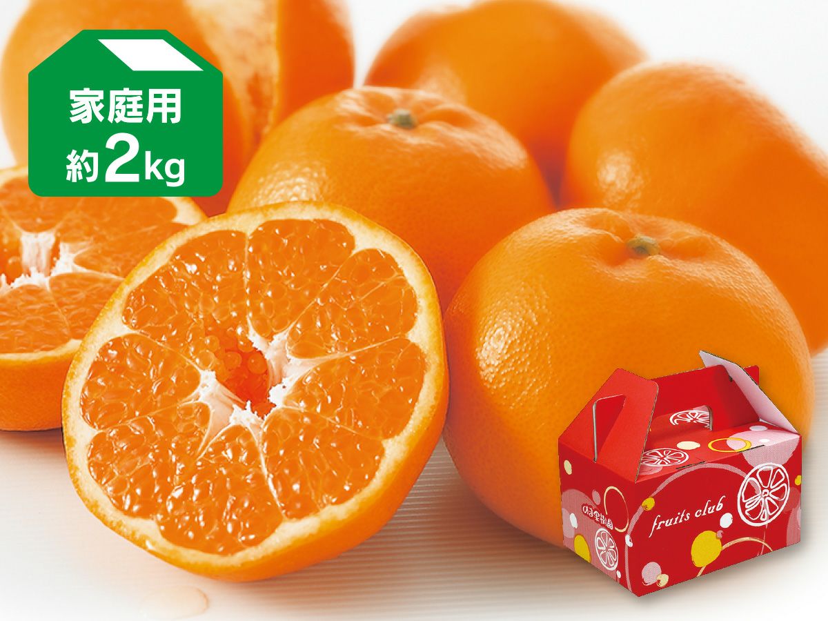 はるみ　美味しい　20Kg 2月上旬以降】貴重な品種『はるみ』甘さと酸味のハーモニー5Kg – さい