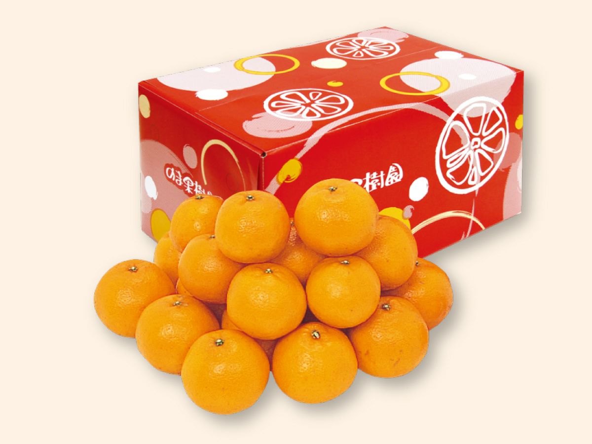 はるみ約3kg-家庭用 | のま果樹園