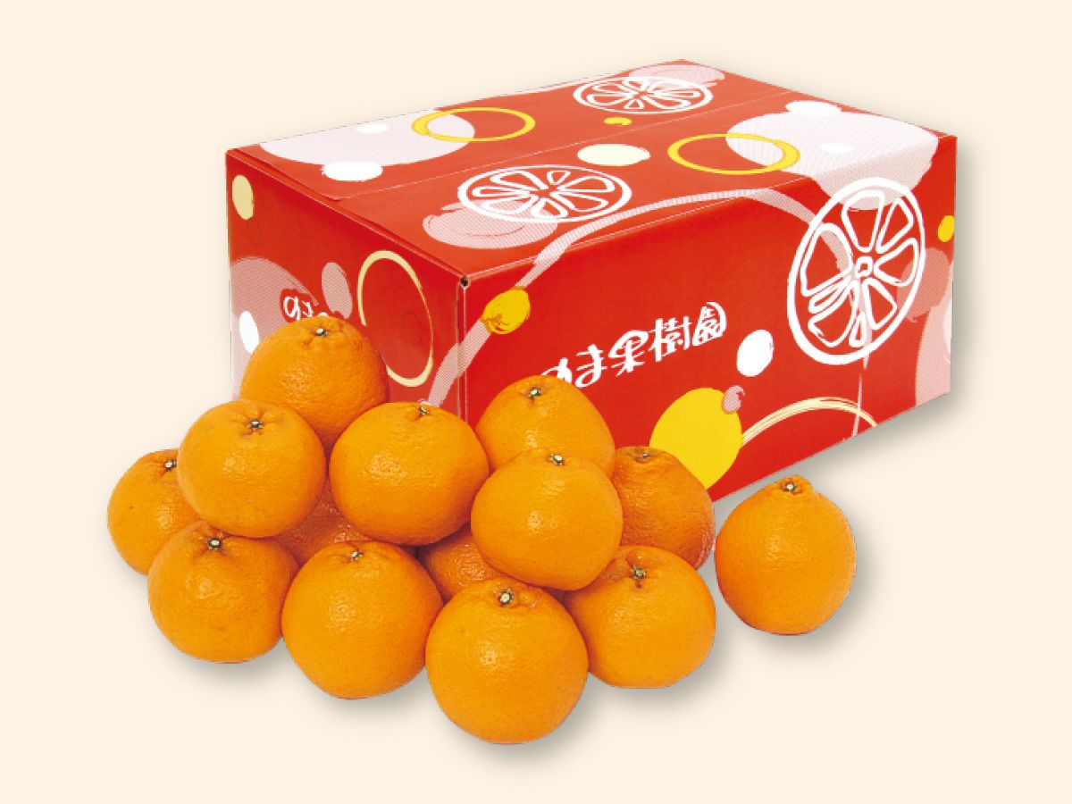 はるみ約5kg-家庭用 | のま果樹園