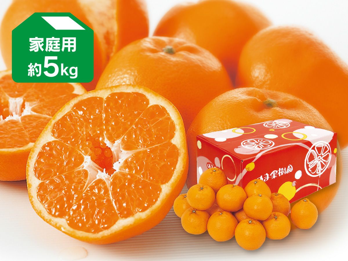 はるみ約5kg-家庭用 | のま果樹園