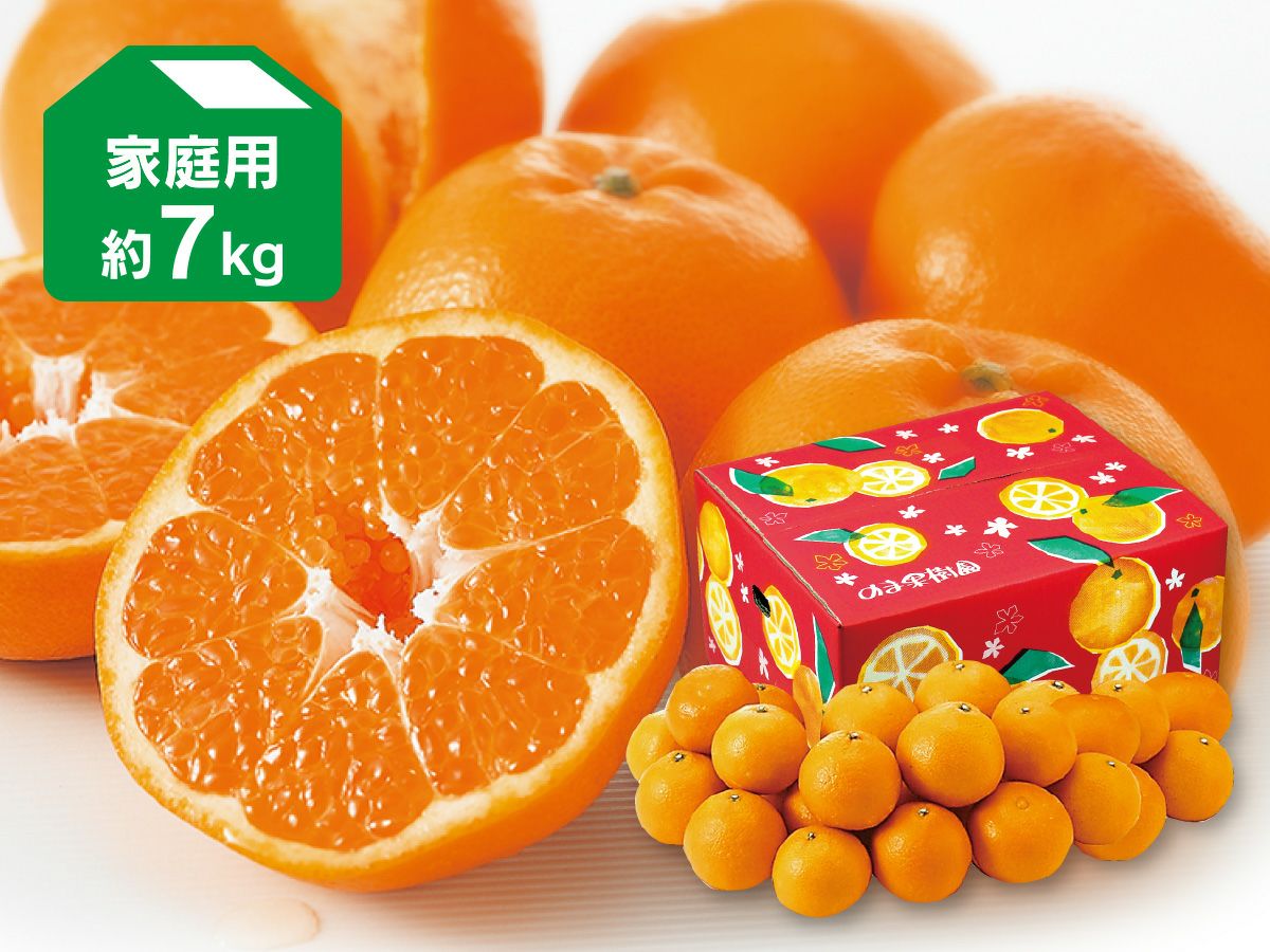 はるみ約5kg-家庭用 | のま果樹園