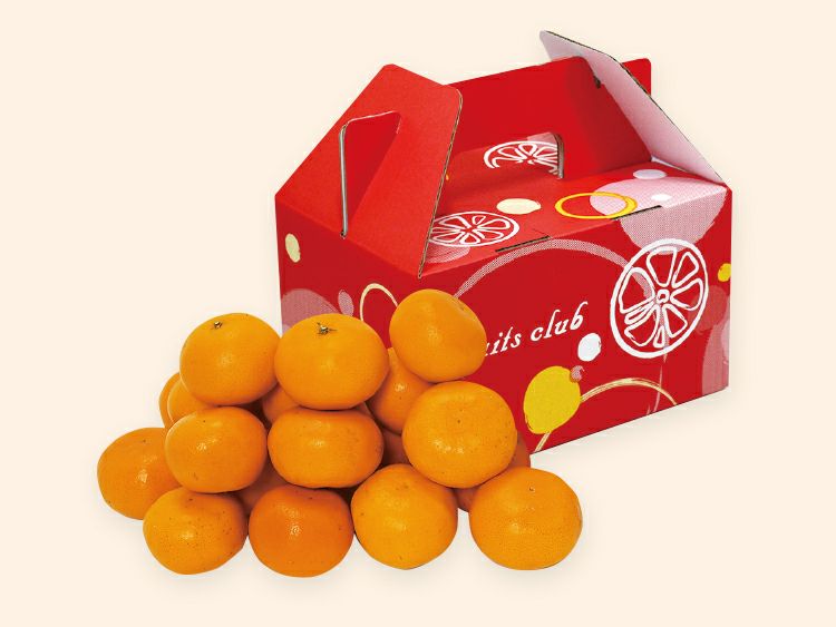 はれひめ2kg-家庭用 | のま果樹園