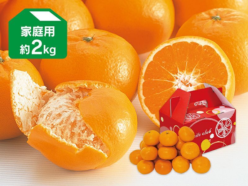 はれひめ2kg-家庭用 | のま果樹園