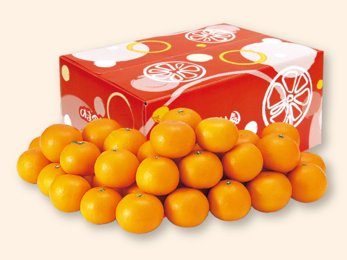 はれひめ5kg-家庭用 | のま果樹園