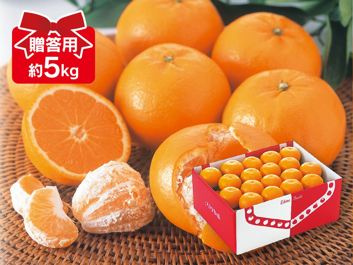 贈答用 | のま果樹園